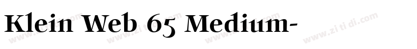 Klein Web 65 Medium字体转换